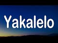 SDM - Yakalelo (Paroles) #Yakalelo #SDM