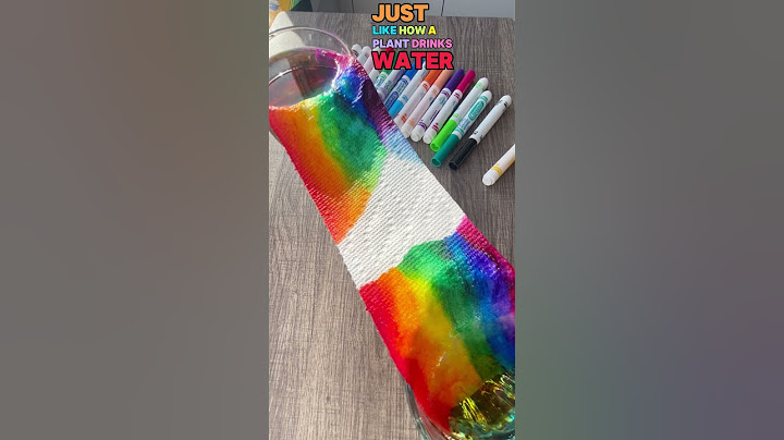 🌈 Walking Water Rainbow Experiment – Fun Science with Miss Daisy!