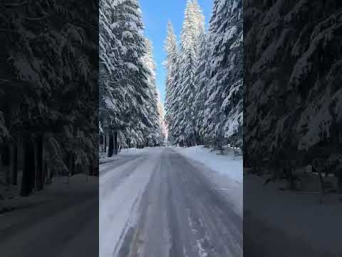 Видео: Alaska USA