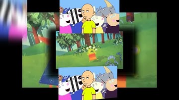 [YTPMV] Caillou csupo Had an wanda and the alien Error! Shuric Scan D Minor [Veg Replace]