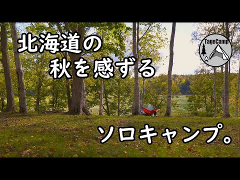 【ソロキャンプ】北海道名寄市「ふうれん望湖台 自然公園キャンプ場」で北海道の秋を満喫してきました。【北海道キャンプ】