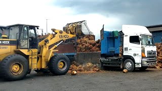 Malaysian palm oil how to unload palm oil in a cool palm factory