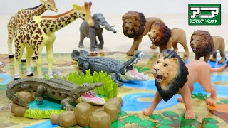 どうぶつフィギュア Amazon.co.jp: 小動物フィギュアおもちゃ6個パック、78個 リアル