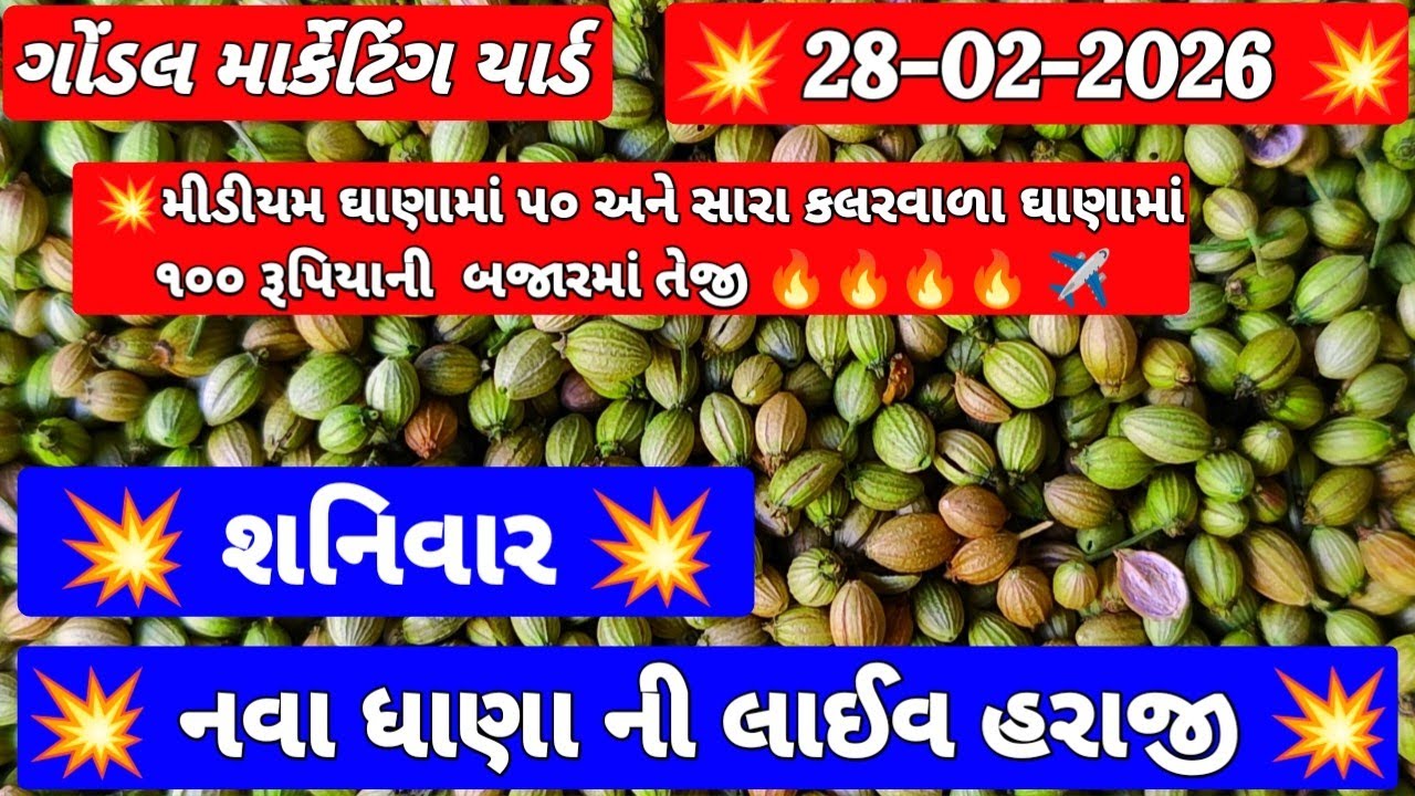 ગોંડલ ધાણા ના બજાર ભાવ | 28-02-2026 | Nava Dhana Na Bhav | ધાણી ના ભાવ | RJ Gondal Market Yard