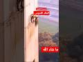 الغزالة معلقة في الدور العاشر 