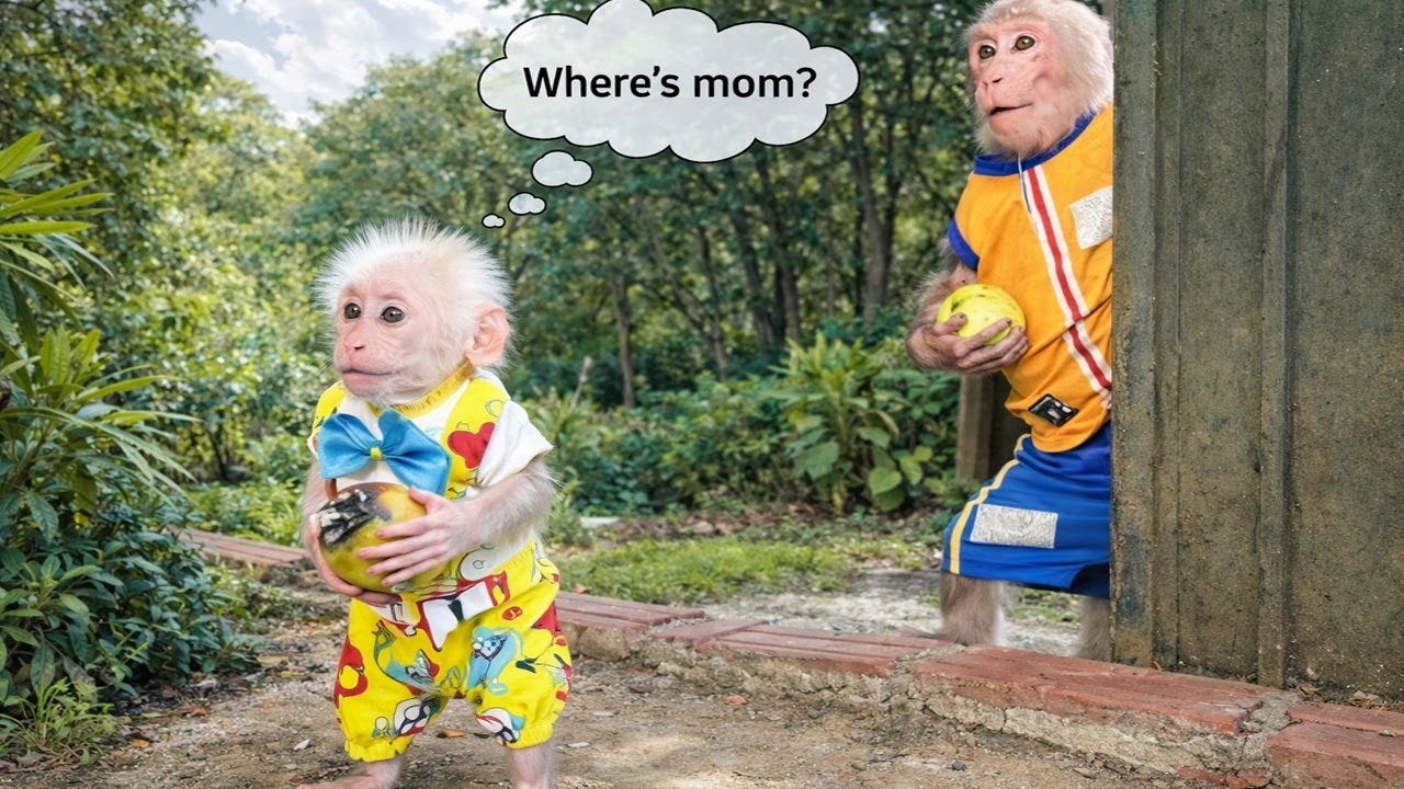 So Sweet! Bibi Always Shows Special Care for LaLa When Mom Is Not Home