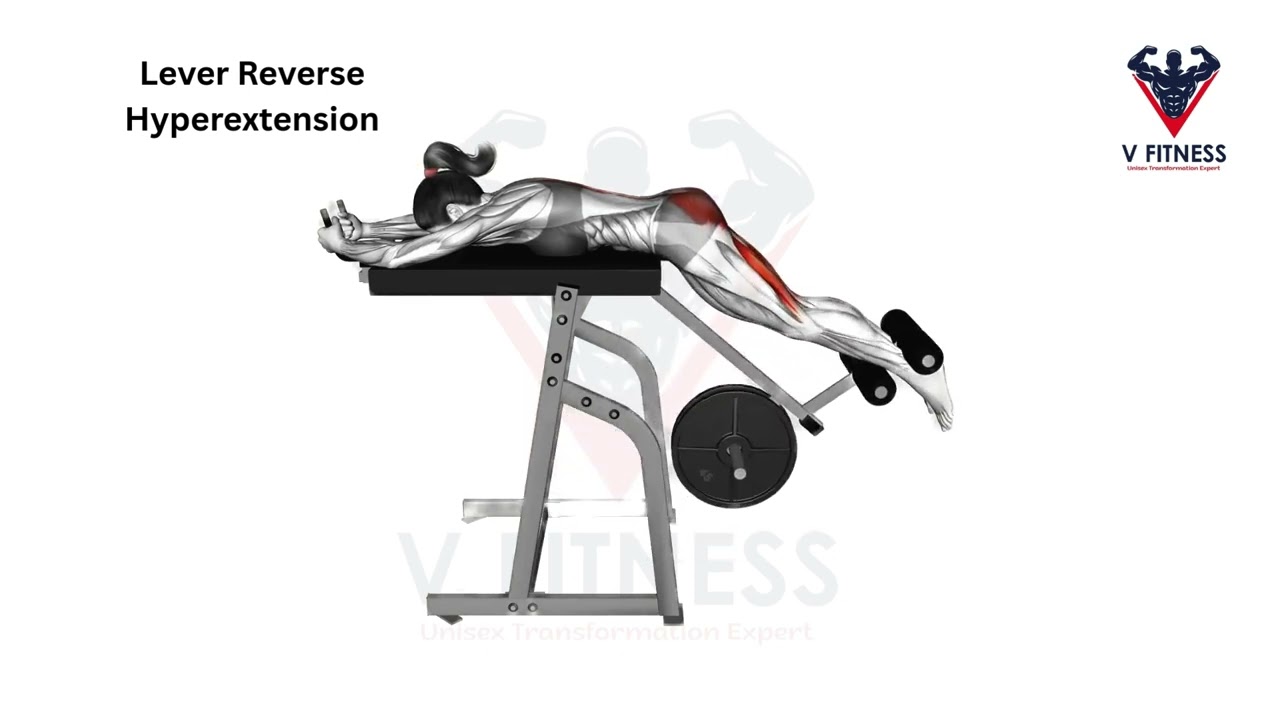 Lever Reverse Hyperextension