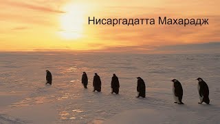 видео: Проявленное не имеет цели.  Нисаргадатта Махарадж — Ничто есть Всё картинка: Проявленное не имеет цели.  Нисаргадатта Махарадж — Ничто есть Всё