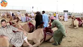 Suriyeli Öğretmenimiz Abdülazi̇z Zekeri̇ya 1