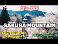 INDAHNYA GUNUNG SAKURA YOSHINOYAMA NARA JEPANG||[4K-60]
