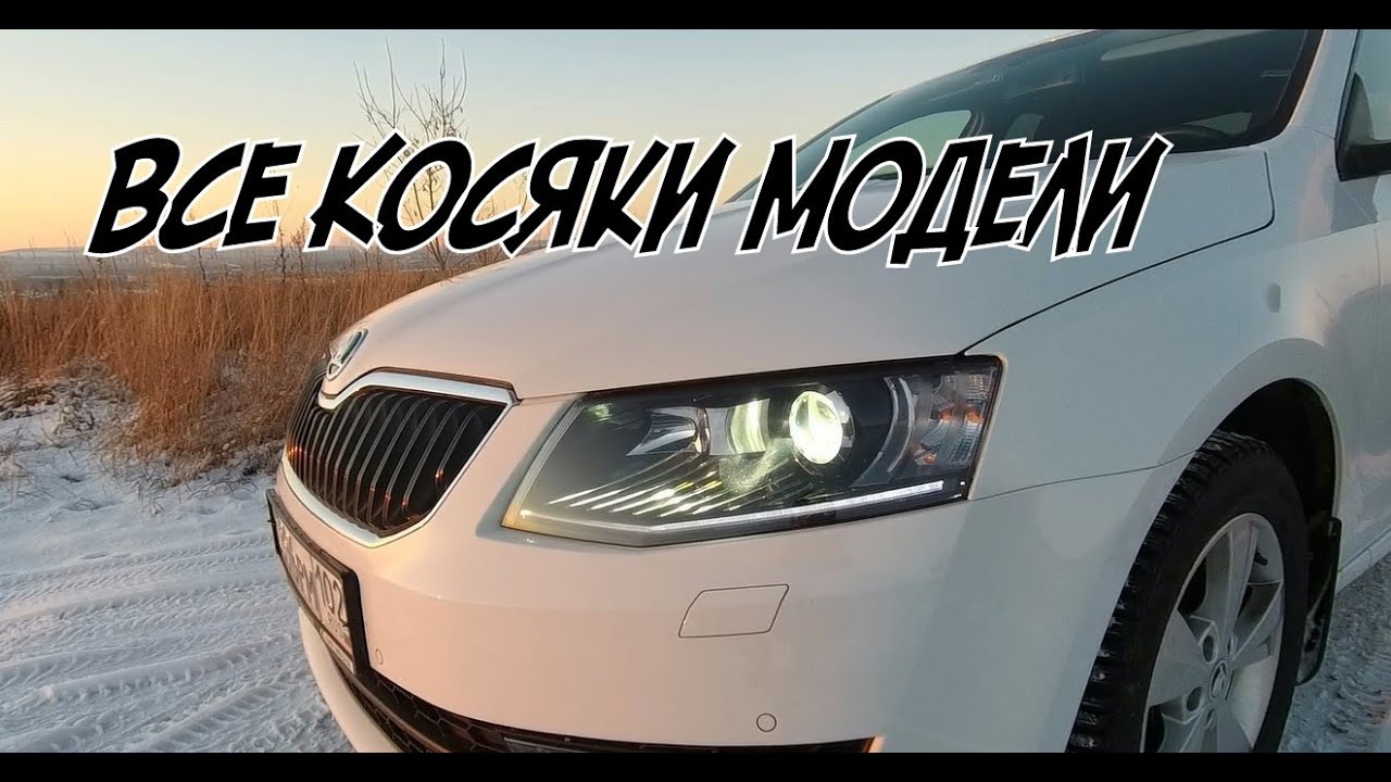 Skoda: Все Минусы Модели Озвучены ШкодаВодами (2021)