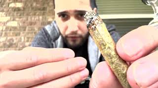 GMO STRAIN AND KGB GLASS REVIEW!