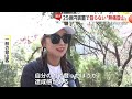 もはや“登山”ではない？中国で「無痛登山」が流行…ロボットが歩行支援、山肌に巨大エレベーター　景観乱すとの声も