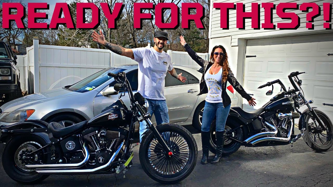 2 Harley Night Trains, Fresh Out of Hibernation.
