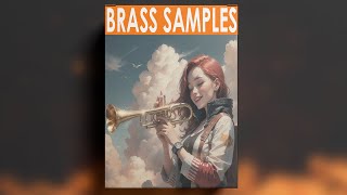 Download Lagu FREE DOWNLOAD TRUMPET SAMPLE PACK / trumpet samples - \ MP3