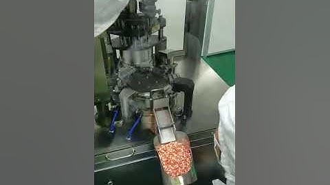 Automatic Capsule Filling Machine NJP-200C