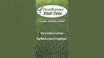 Big insights are coming! Tune into AgWeb.com/CropTour for the latest from the Pro Farmer Crop Tour