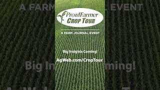 Big insights are coming! Tune into AgWeb.com/CropTour for the latest from the Pro Farmer Crop Tour