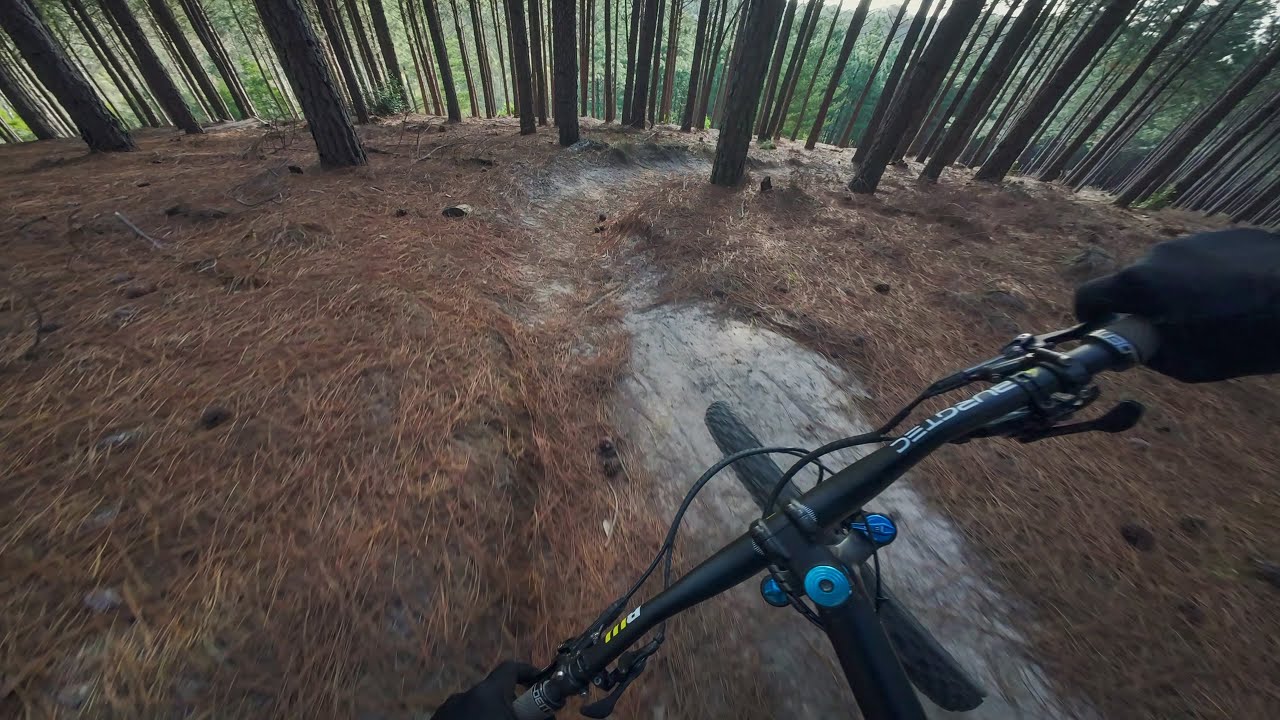 Specialized Stumpjumper vs 500m of Quality Knysna Trail!