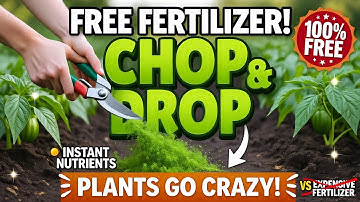 Chop & Drop vs Mulch: Why I’ll Never Go Back 🚫♻️