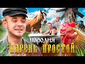 ПАРЕНЬ ПРОСТОЙ - АРТУР БАБИЧ ( ПАРОДИЯ ) || M&A