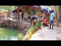 Fishing and cooking telapia fish in tribal village style  village cooking review