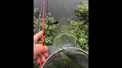 Best example of #polarization #physics