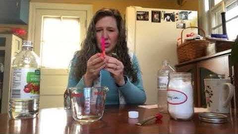 CC Cycle 3 Week 16 Science Experiment