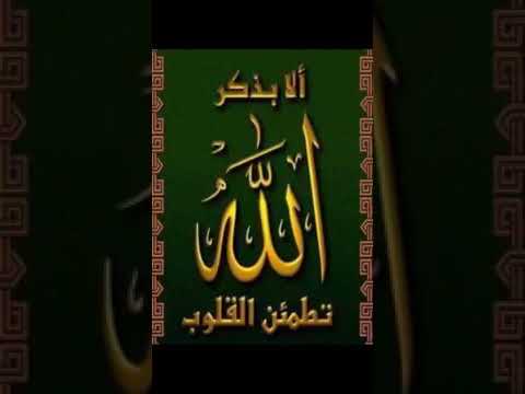 أنا في جوارك يا إبن آمنة الرضى 