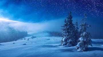 Relaxing Piano Music - Sleep Music, Stress Relief, Winter Photos, Study Music (Lydia)