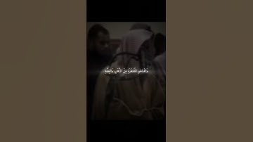 سورة/آل عمران القارئ| محمد اللحيدان