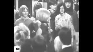 Dusty Springfield - Every Day I Have To Cry (Ready Steady Go) chords