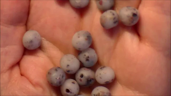 Polymer Clay Dried Flower Beads