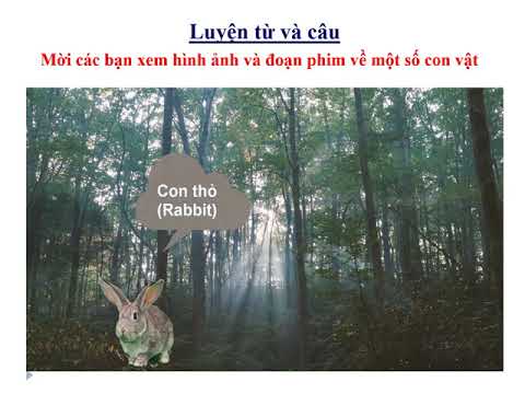 TUẦN 24 - LỚP 2 - Luyện từ và câu: Mở rộng vốn từ