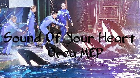 Sound Of Your Heart Favorite Orca MEP (COMPLETE)