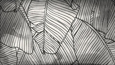 Frums - Flashbacklog | Osu Map Showcase