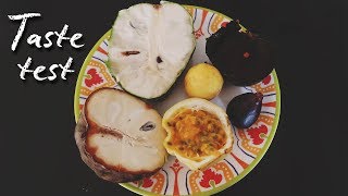 🥥 Tasting exotic fruit from Mexico 🇲🇽 (vegan taste test)