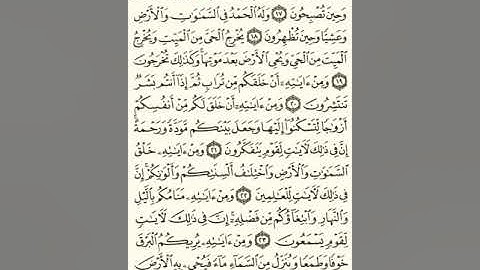 ماهر المعيقلي سورة الروم مكتوبة صفحة 406 مصحف المدينة المنورة جودة عالية
