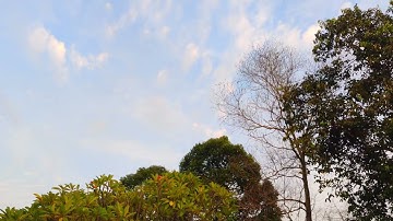 Timelapse (Xiaomi Mi 11 Ultra)