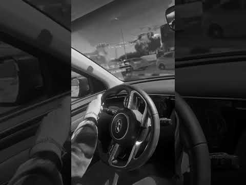 والعباس نشور بيه احنه اليكرهنه طيور شلوه ومانلح وماتلحكنه