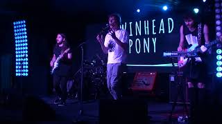 Twinhead Pony - Москва