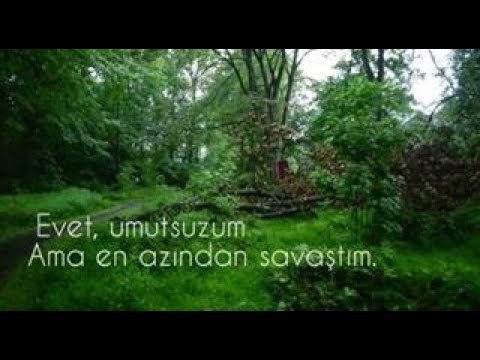 Lucia - Days │Türkçe Çeviri│ Ormanda Yürüyüş
