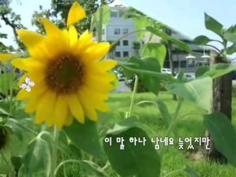 (+) 박상민 - 해바라기 (그녀에게.