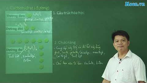 Bài 4 - SH10: Cacbonhidrat và lipit