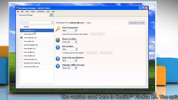 Mozilla® Firefox: How to let certain websites save password, cookies etc. in Windows® XP