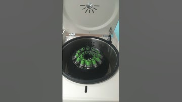 #centrifuge  TDZ4-WS Desktop Centrifuge Supplier