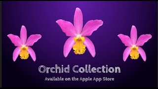 Orchid Collection App Walkthrough + Q&A screenshot 2