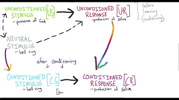 Intro Psych - Video 7 - Classical Conditioning
