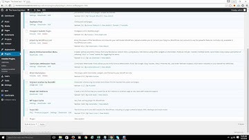 Installing The Plugin- Schema Localizer
