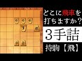 どこに飛車を打ちますか?【3手詰】